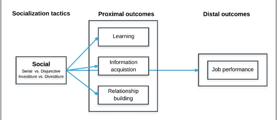 Figure 5. Social tactics affect several proximal outcomes and distal outcomes job performance
