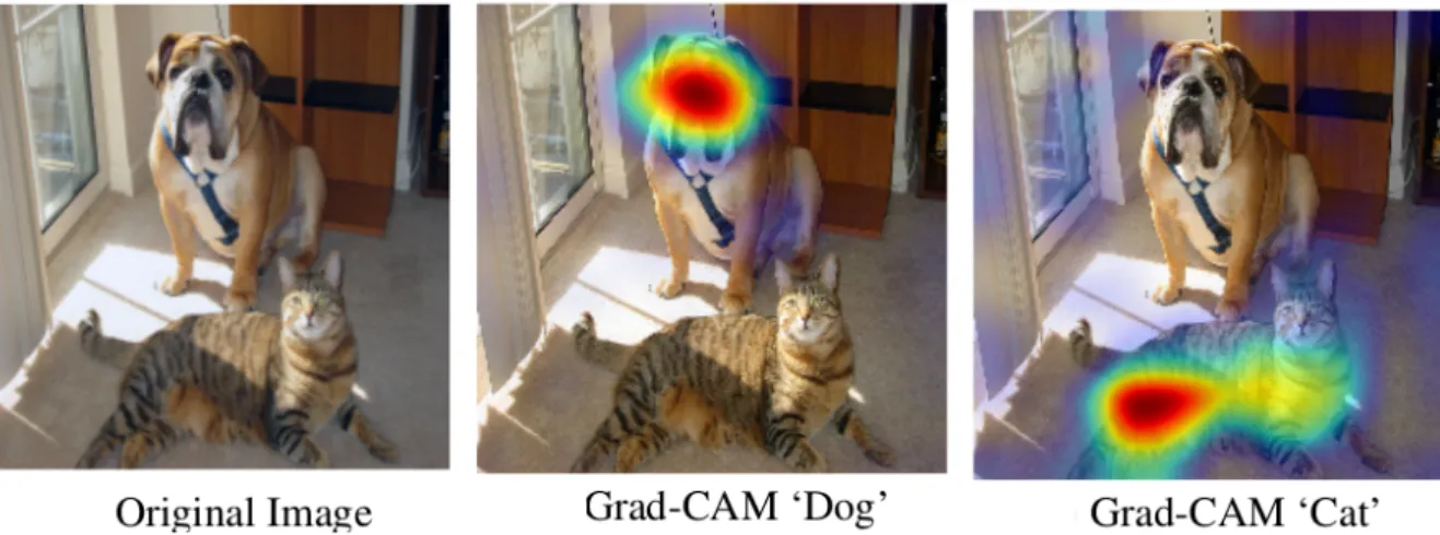 Figure 7: Explanations for several images provided by Selvaraju et al. [31] model- model-specific gradient-based explainer.