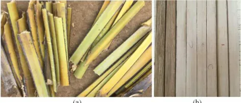 Figure 2. Furniture made with the petiole of the palmyra.(a): rifle, (b): armchair. 