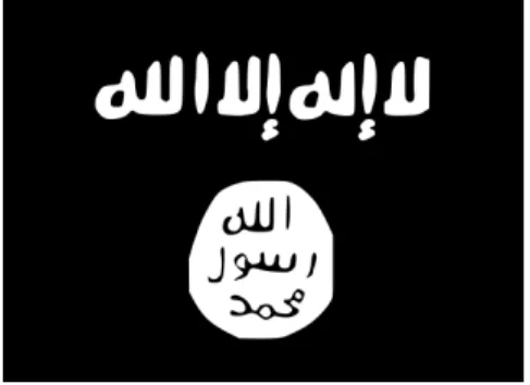 Figure 10. The ISIS flag 