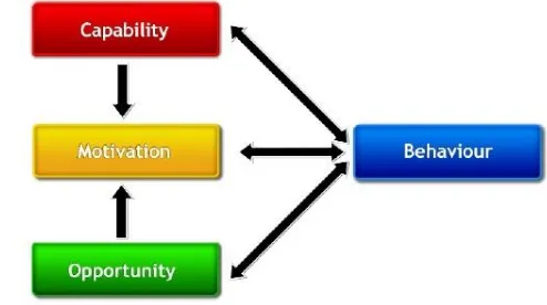 Figure 2: Interaction model according to Michie et al. (2011) 