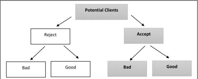 Figure 1: Components of Credit Scoring Model Population 