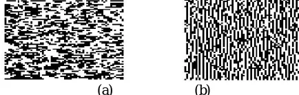 Figure 2. Anisotropic Textures with vertical and horizontal clustering. α = −0.26,  β = −2,  β = 2.1,  β = 0.13,  β = 0.015 
