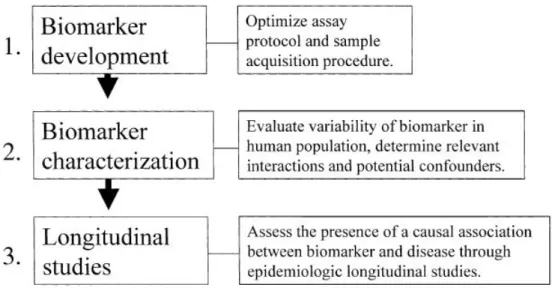 Figure 2.3: Validation of biomarkers (Bonassi et al., 2001)