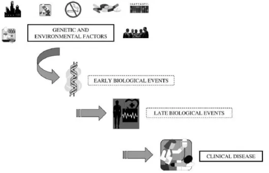 Figure 2.4: Causal pathway from initiation to occurrence of disease (Bonassi &amp; Au, 2002)
