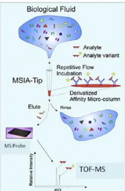 Figure 2.5: Causal pathway from initiation to occurrence of disease (Buddi et al., 2011)