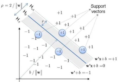 Figure 2.8: Schematic representation of the optimum hyperplane by a SVM (Maroco et al., 2011)