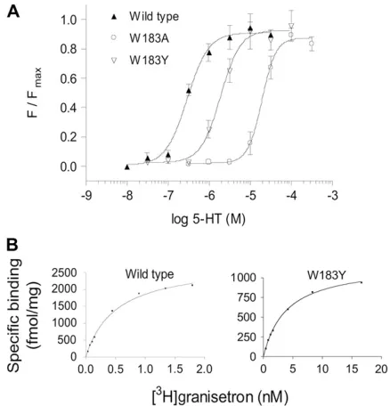 Fig. 4 F. Loop B is similar in each of these models, sug-