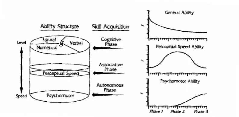 Figure 1 - Ackerman's radex model. As in the original model of Marshalek et al. (1983), complexity is represented by the 