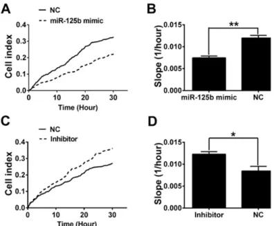 Figure 7: miR-125b inhibited B16F10 cell migration.  (A, B) The migrations of B16F10 cells transfected with miR-125b mimic  and negative control were analyzed by RTCA
