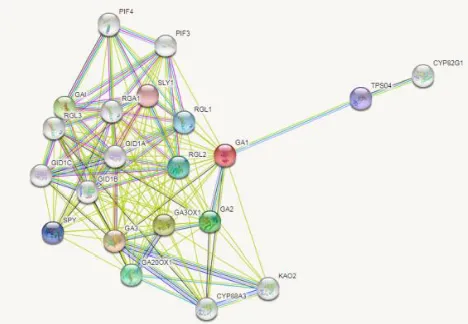 Figure 20: Co-expression analysis of different proteins with referenceplant CPS (Arabidopsis thaliana CPS)