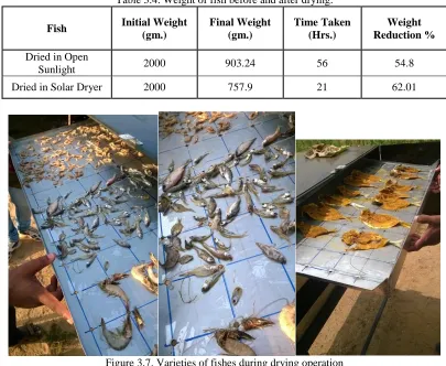 Table 3.4. Weight of fish before and after drying: 