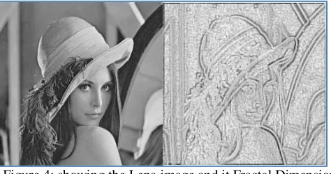 Figure 4: showing the Lena image and it Fractal Dimension  Image. 