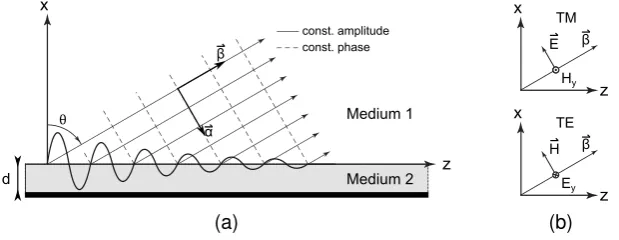 Figure 1.4: (a) General TM and TE leaky surface wave, propagating into z-direction,