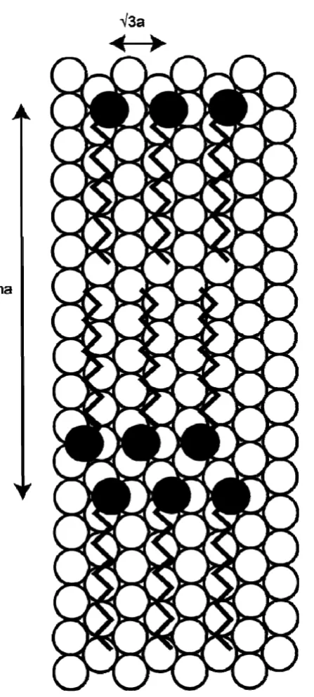 Fig. 3 Schematic diagram of a striped phase of an alkylthiolate with a (mx√3)rect. unit 