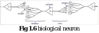 Fig 1.6 biological neuron  