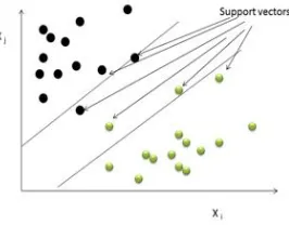 Figure 4: Support vector machine 