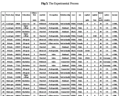 Fig.6. The adult data sample 