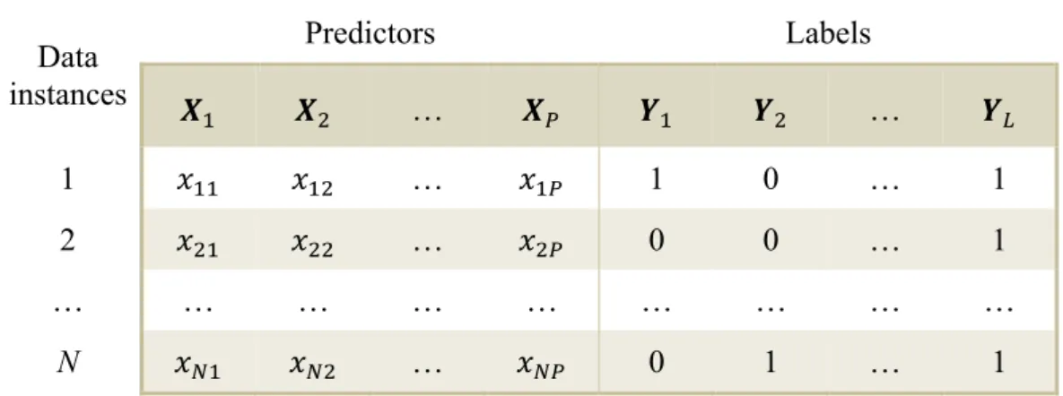 Table 2.2: Multi-label dataset structure. 