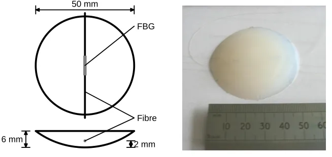 Figure 1. Poly Siloxane polymer sensor encapsulation
