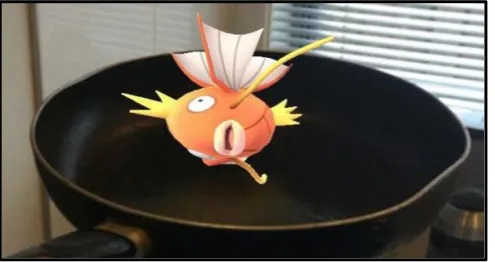 Figure 9. Magikarp unexpectedly turning up in a frying pan. E. Moore (2016) 