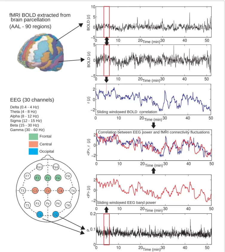 FIGURE 1 | Method used to compute BOLD connectivity fluctuations and correlations with EEG power fluctuations