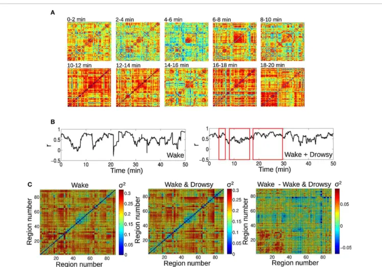 FIGURE 2 | Large-scale spontaneous BOLD functional connectivity fluctuations. (A) BOLD correlation matrices for a single subject, in intervals of 2 min