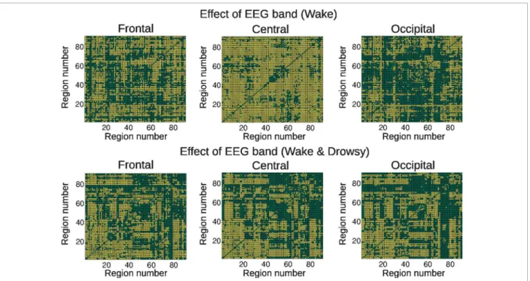 FIGURE 3 | Connections showing a significant (colored in yellow) effect of EEG frequency band in the correlation coefficient between BOLD functional connectivity and spontaneous EEG power fluctuations, for