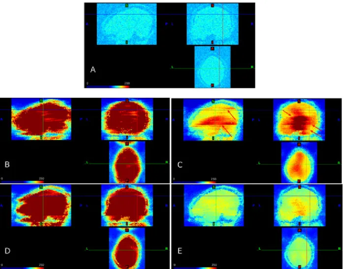 Fig. 2. Noise amplification due to SMS using slice-GRAPPA reconstruction. Standard deviation of the  residuals from the GLM fit to simulations with scaling factor = 1 and run duration = 480 s