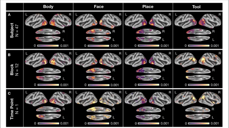 FIGURE 5 | Exemplary DeepLight brain maps for each of the four cognitive states on different levels of data granularity for a single subject