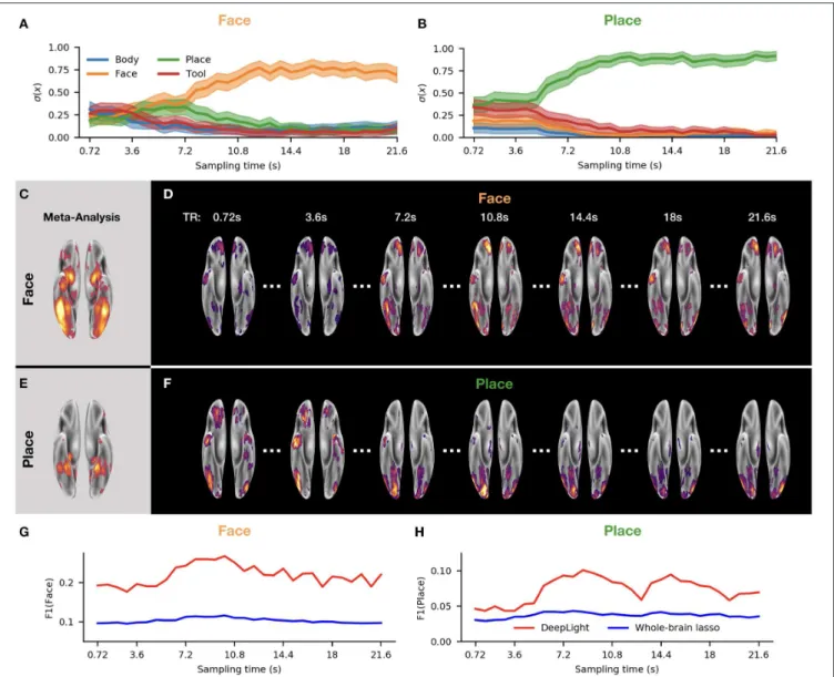 FIGURE 6 | DeepLight analysis of the temporo-spatial distribution of brain activity in the first experiment block of the face and place stimulus classes in the second experiment run of the held-out test dataset