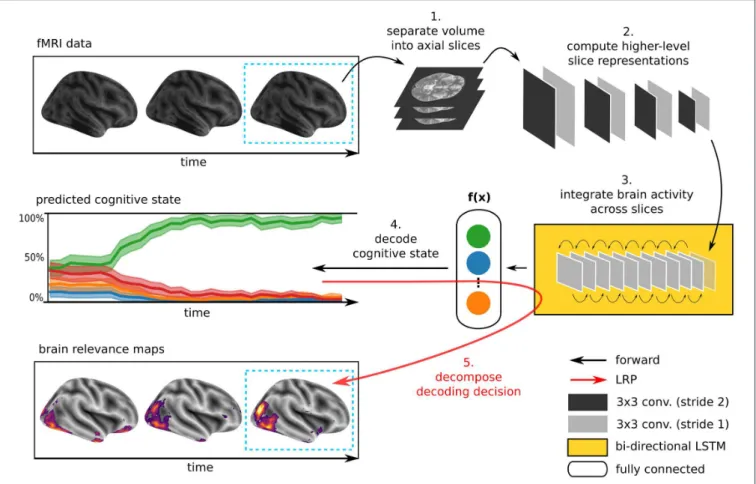 FIGURE 1 | Illustration of the DeepLight approach. A whole-brain fMRI volume is sliced into a sequence of axial images