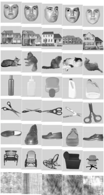 Figure 2: Examples of stimuli. Subjects performed a one-back repetition detection task in which repetitions of meaningful pictures were different views of the same face or object.