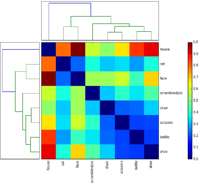 Figure 9: Representational dissimilarity matrix for the stimulus categories as calculated using the Mahalanobis distance