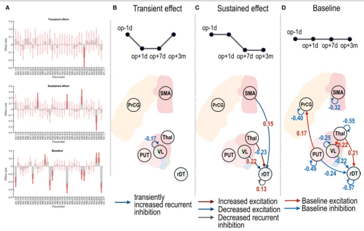 FIgURe 3 | Effective connectivity changes in the motor subnetwork after thalamotomy. The intrinsic effective connectivity associated with treatment, transient, and  baseline effect is displayed in the three rows of panel (A), and from panel (B) to panel (d