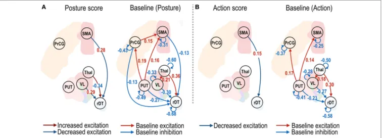 FIgURe 4 | Effective connectivity of motor subnetwork associated with posture and action scores