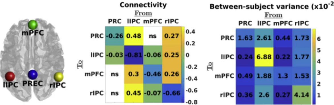 Fig. 1. Left panel: location of ROIs used in the present study. Middle panel: Estimated effective connectivity (from columns to rows) at the group level