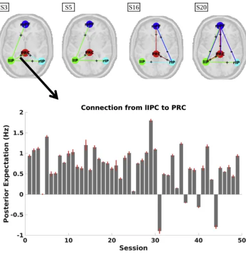 Fig. 5. Upper panel: Connections having the same sign in at least 75% of sessions within the respective (exemplar) subject