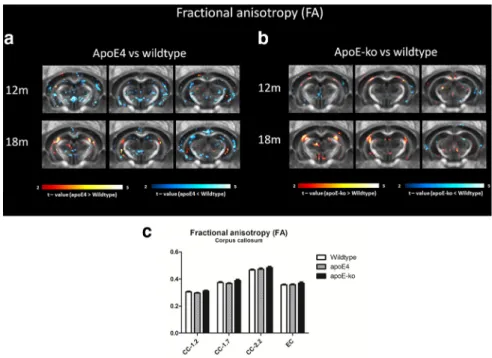 Figure 7. FA comparison between wild-type, apoE4 and apoE-KO mice. VBA indicate significant differences in FA at 12 and 18 months of age