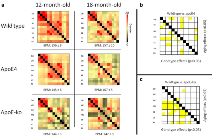 Figure 3. Resting-state FC based on total correlation analyses of 15 ROI in the mouse brain