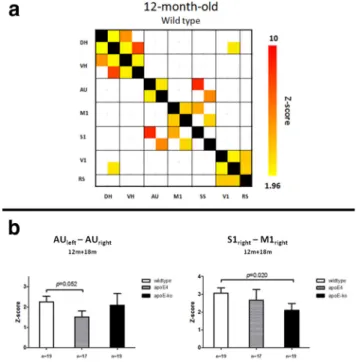 Figure 4. Resting-state FC based on partial correlation analyses of 17 ROIs in the mouse brain