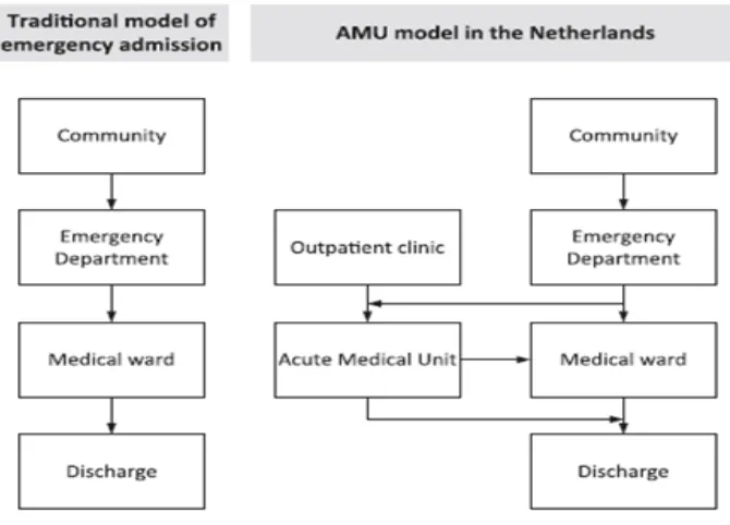 Figure 1. Flow chart admissions for the Acute Medical Unit16