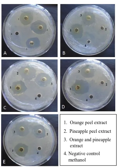 Figure 1:Antimicrobial activity of orange, pineapple andcombination of orange and pineapple peel extracts dissolvedin ethanol against (A)