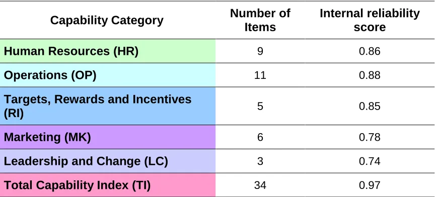 Table 6. Internal reliability of each capability category.  