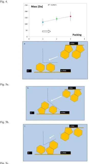 Fig. 5c.  
