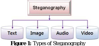 Figure 1: Types of Steganography  