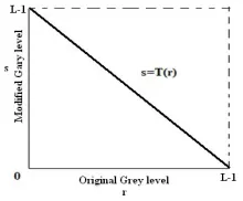 Figure 2  Negative transform for an 8 bit image  