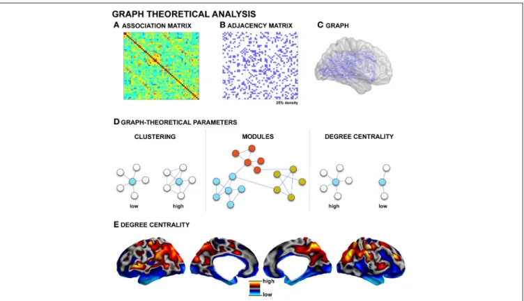 FIGURE 3 | Graph-theoretical analysis. (A) Association matrix quantifying the degree of connectivity (derived from techniques such as diffusion MRI tractography, structural covariance, or functional connectivity, see Figure 2)