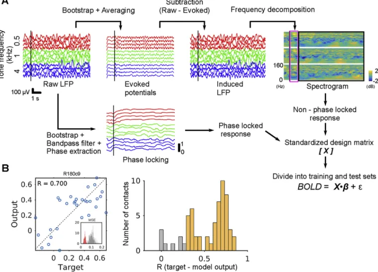Fig. 2. GLM modeling and ﬁtting evaluation. A. Creating the design matrix for the GLM
