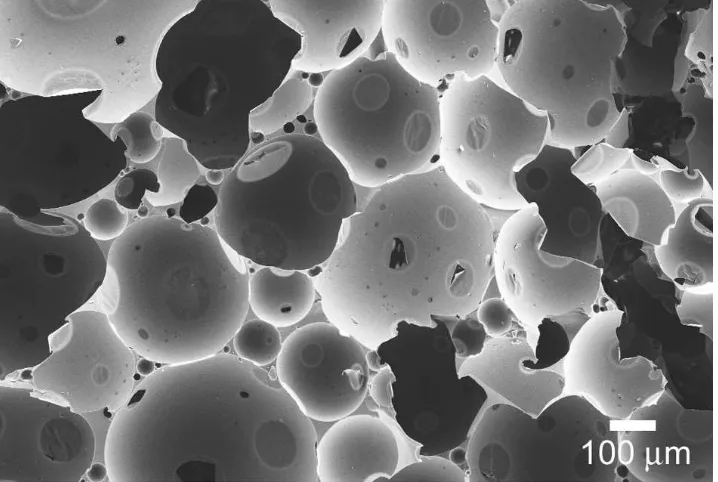 Figure 6: FE-SEM image of cellular monoliths scaffolded with poly(divinyl benzene).